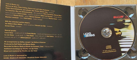 Licks & Brains ‎– Buzzin' CD 2012 Jazz