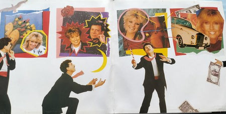 Robert Long – Het Onherroepelijke Fantastico Album LP (collect item)