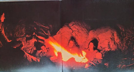 Eagles LP = als nieuw