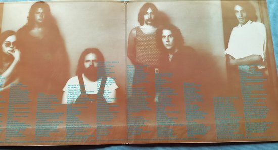 Steely Dan - Can't Buy a Thrill (1972) LP = als nieuw