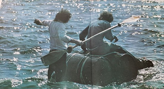 Gallagher And Lyle – Gallagher And Lyle (1972) LP = als nieuw