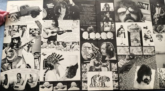 The Byrds - Byrdmaniax (1971) LP