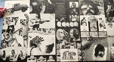 The Byrds - Byrdmaniax (1971) LP