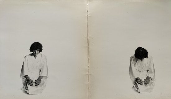 Donovan - Essence to Essence (1973) LP