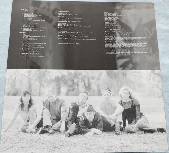 Continental Drifters - Better Day (2001) LP 1 haarlijntje