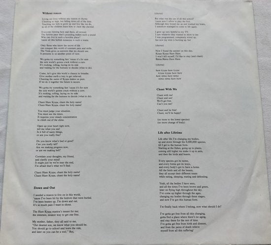 Rasa – Dancing On The Head Of The Serpent (1982) LP= als nieuw