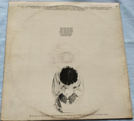 Donovan - Essence to Essence (1973) LP