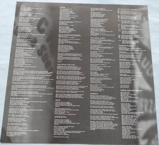 Continental Drifters - Better Day (2001) LP 1 haarlijntje
