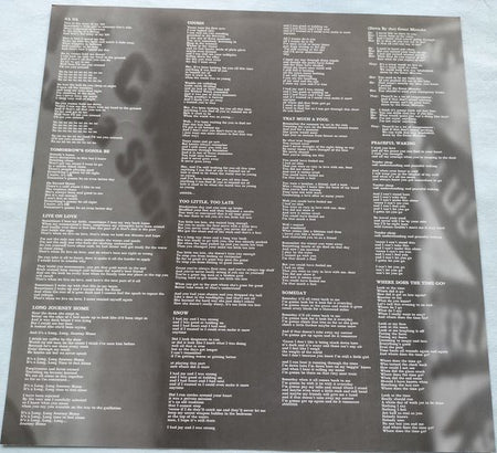 Continental Drifters - Better Day (2001) LP 1 haarlijntje