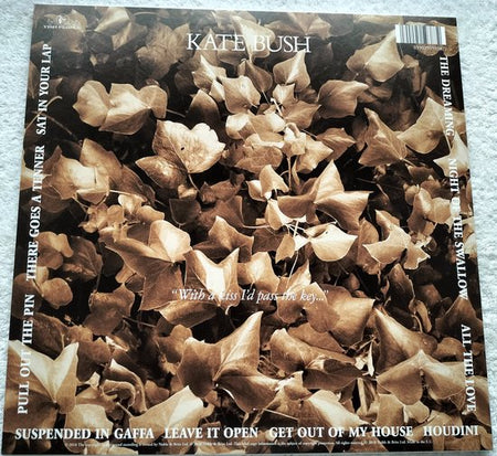 Kate Bush – The Dreaming (2018) - LP=als nieuw