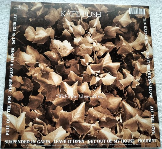 Kate Bush – The Dreaming (2018) - LP=als nieuw