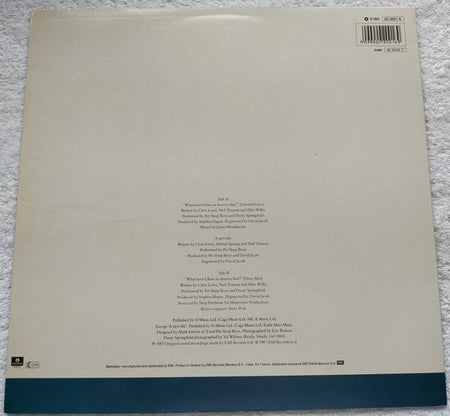 Pet Shop Boys With Dusty Springfield – What Have I Done To Deserve This? (1987) LP = als nieuw
