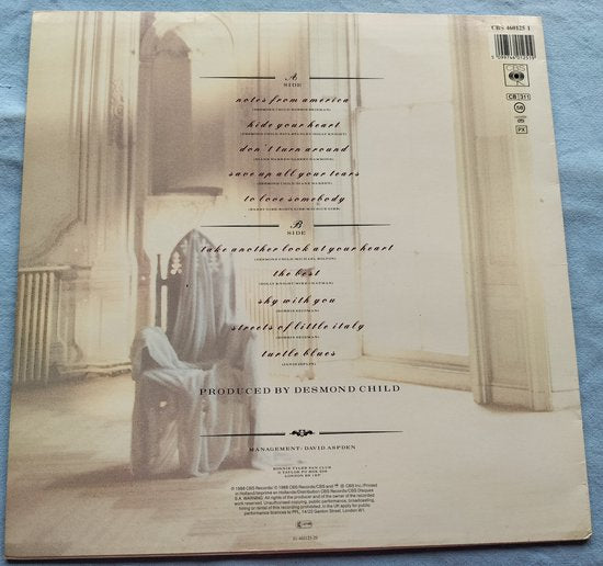 Bonnie Tyler - Hide Your Heart (1988) LP