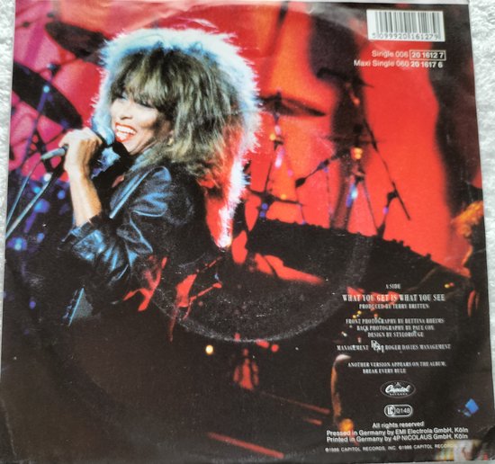 Tina Turner – What You Get Is What You See (1987) Vinyl, 7", 45 RPM, Single
