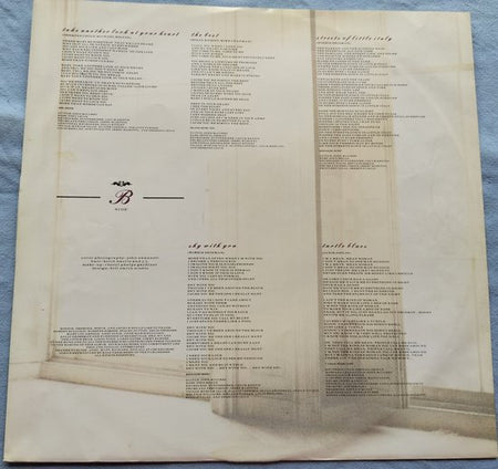 Bonnie Tyler - Hide Your Heart (1988) LP
