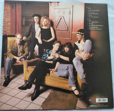 Continental Drifters - Better Day (2001) LP 1 haarlijntje